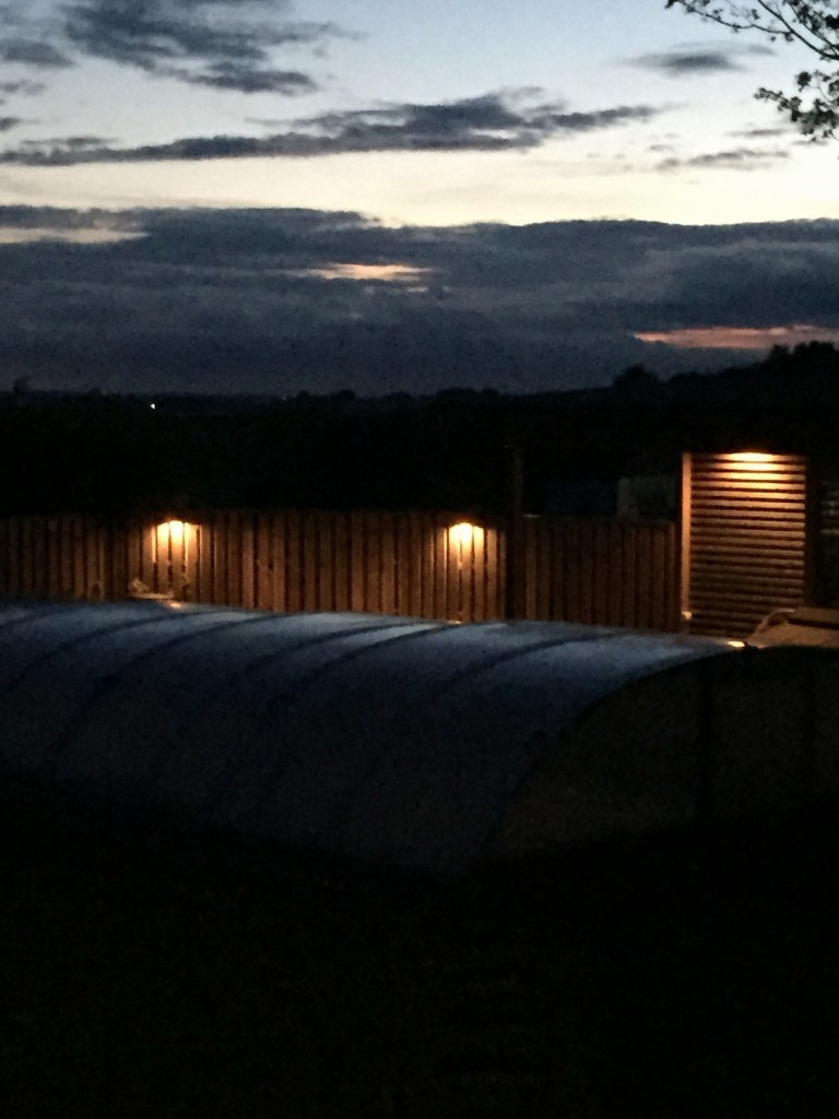 IMG_1981