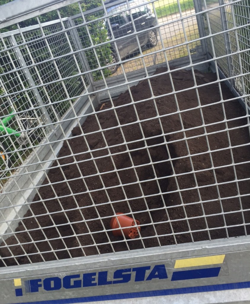 Finns att göra här...